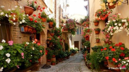 Spello